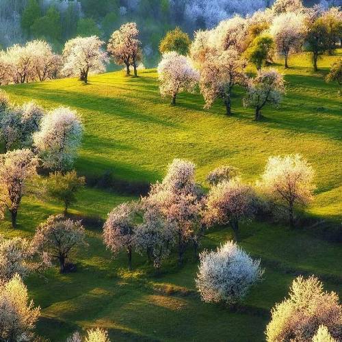  گفت نه کمه بگو شدی سرکرده غرب سرم پایین میزدم یه لبخند نرم